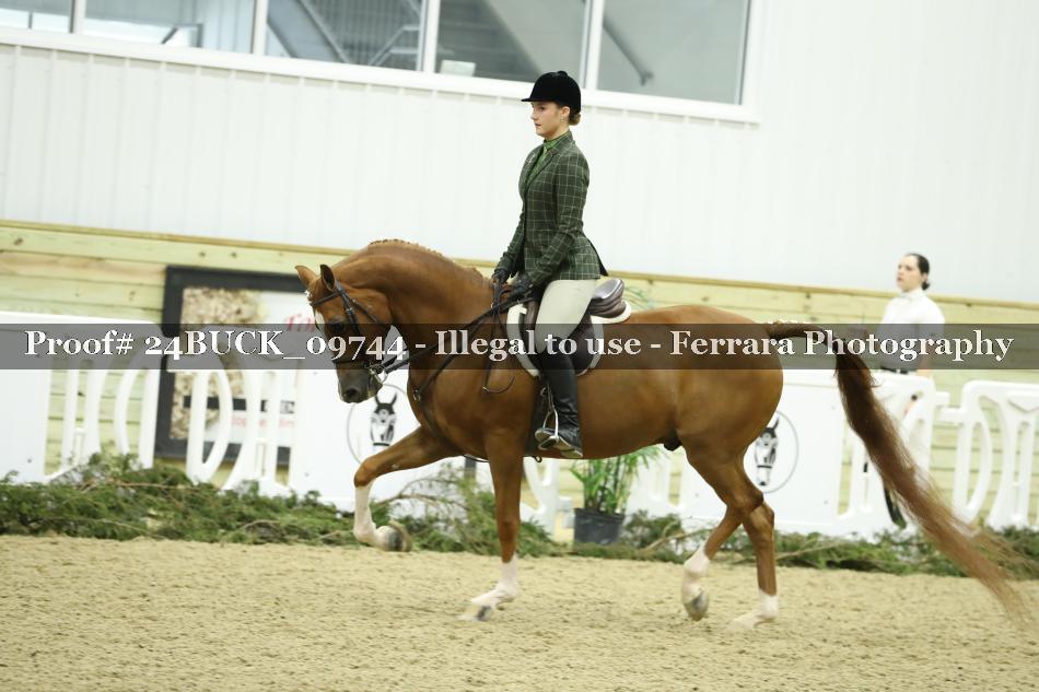 Proof 24BUCK_09744