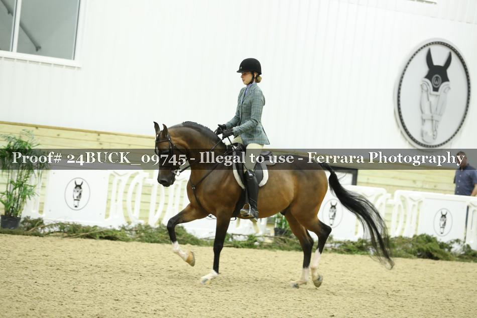Proof 24BUCK_09745
