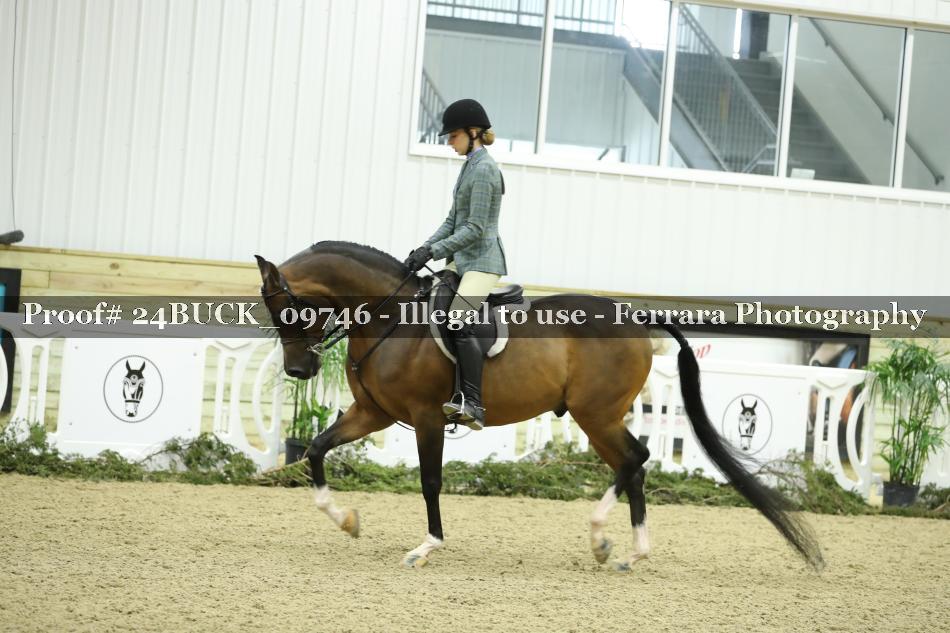 Proof 24BUCK_09746