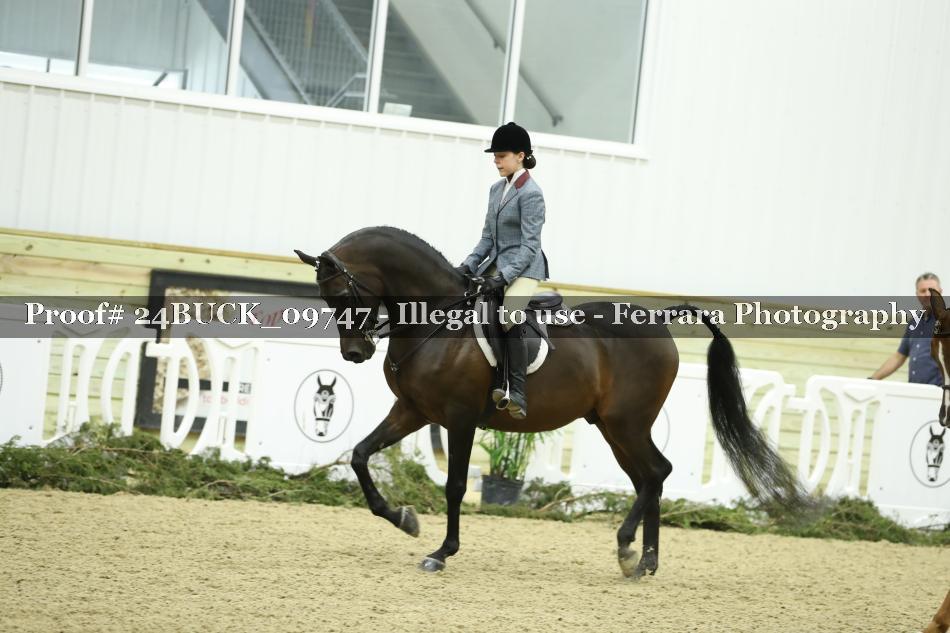 Proof 24BUCK_09747