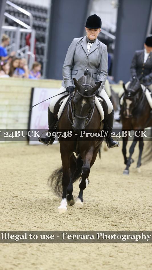 Proof 24BUCK_09748