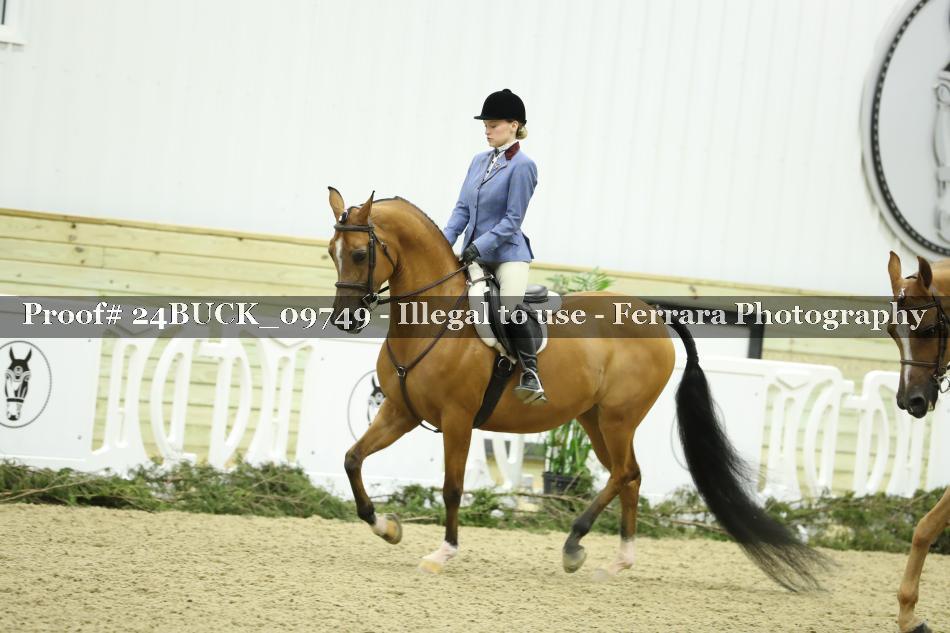 Proof 24BUCK_09749