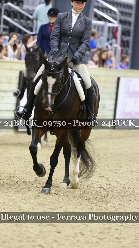 Proof 24BUCK_09750