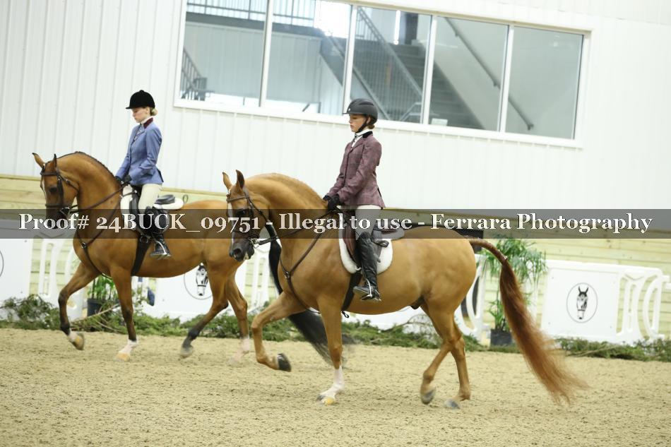 Proof 24BUCK_09751