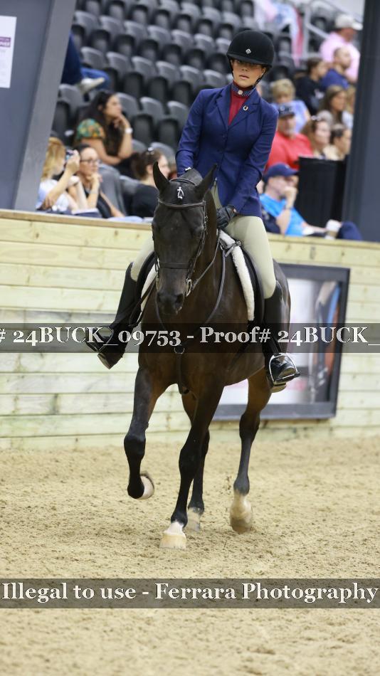 Proof 24BUCK_09753
