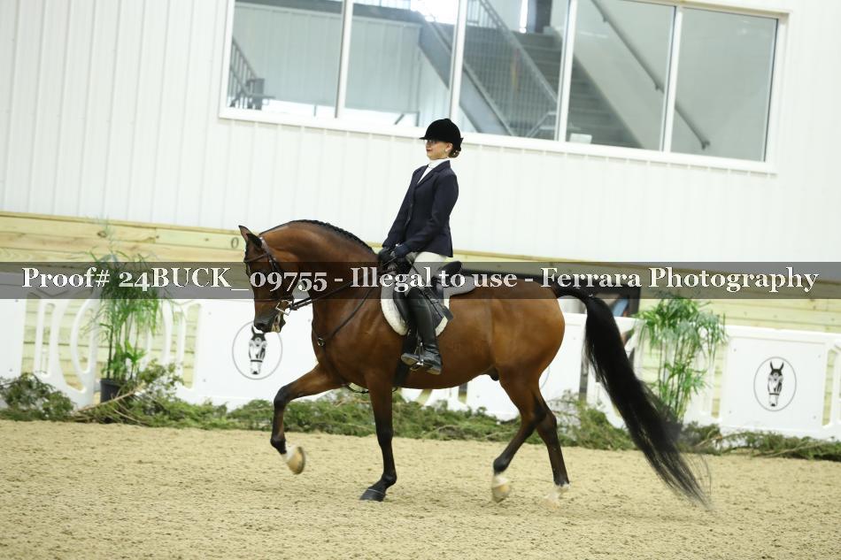 Proof 24BUCK_09755