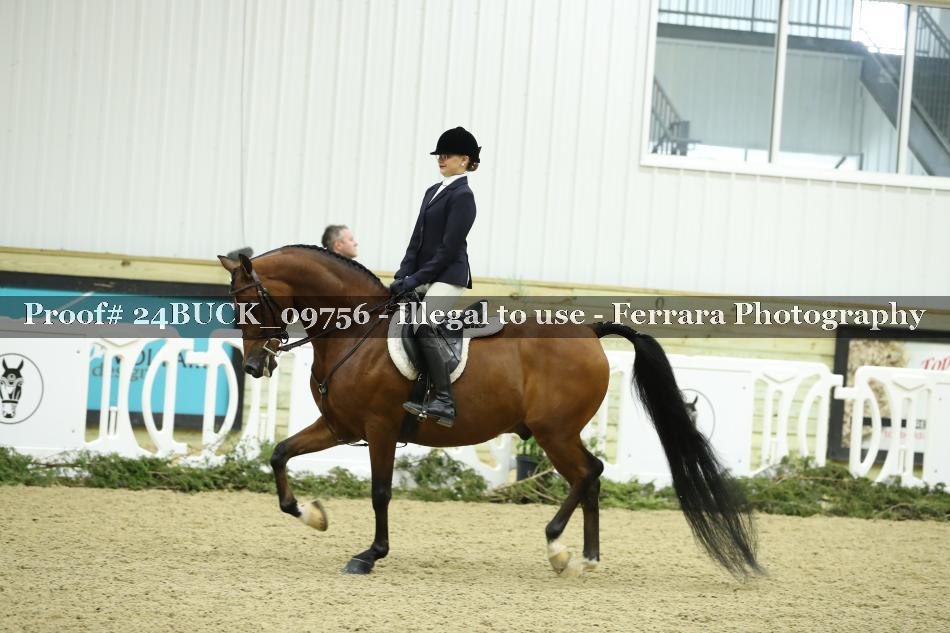 Proof 24BUCK_09756