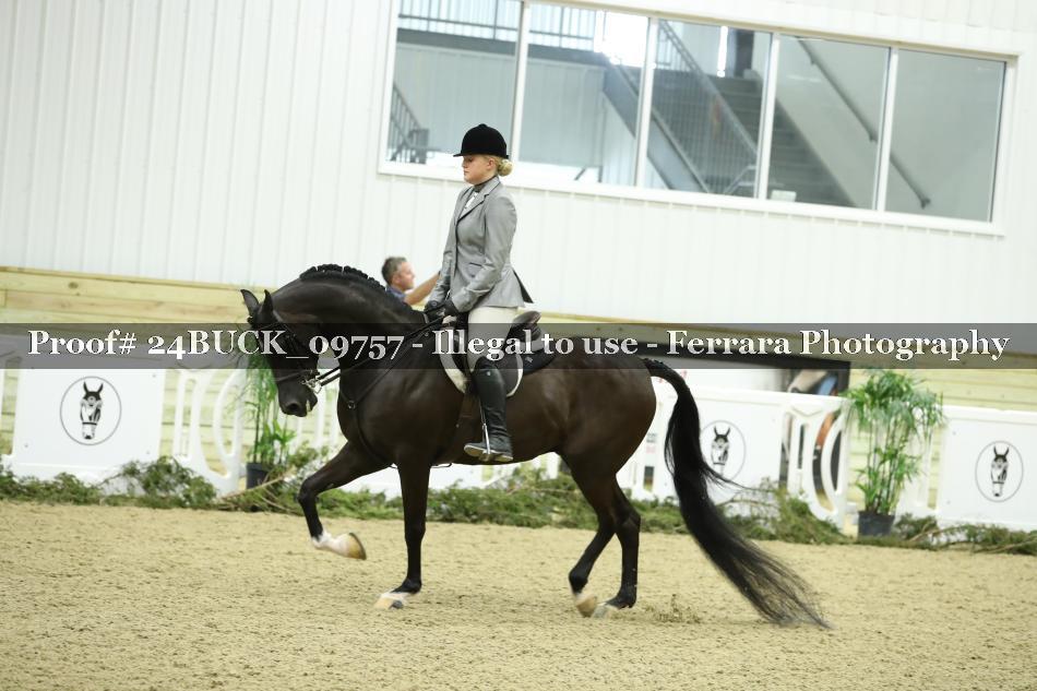 Proof 24BUCK_09757