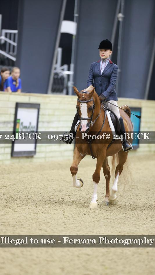Proof 24BUCK_09758
