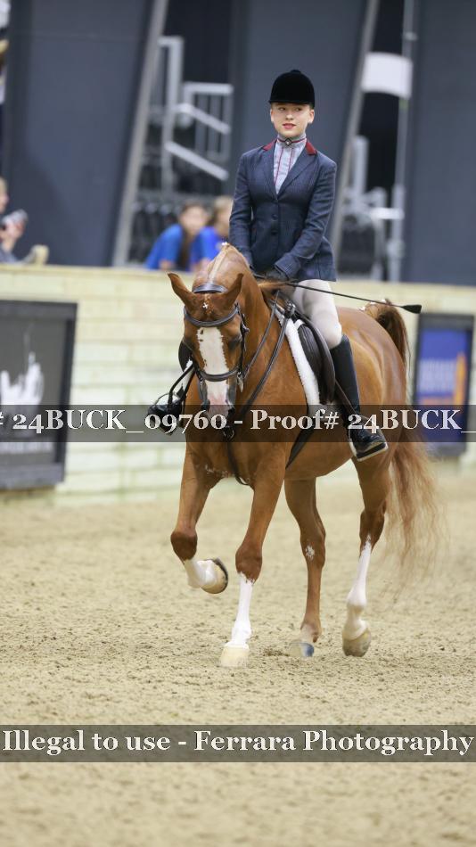 Proof 24BUCK_09760