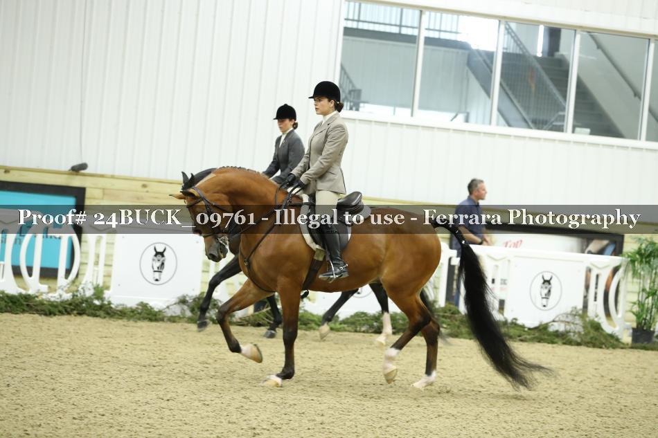 Proof 24BUCK_09761