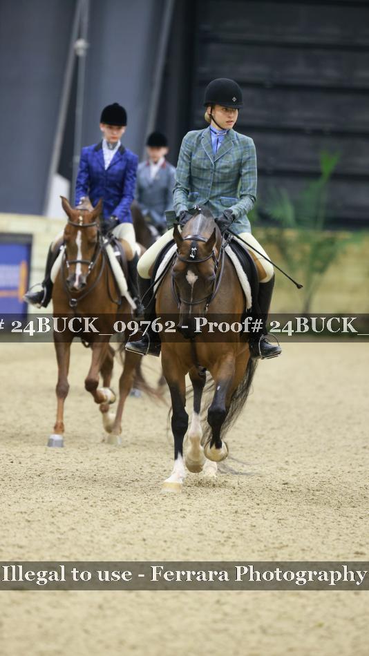 Proof 24BUCK_09762
