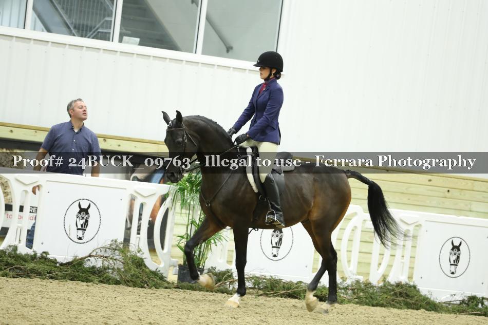 Proof 24BUCK_09763