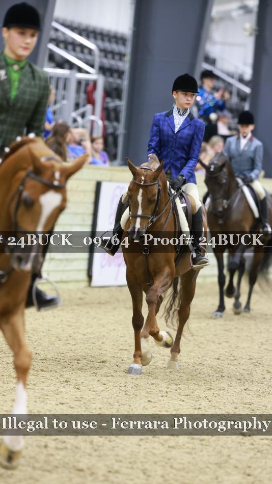 Proof 24BUCK_09764