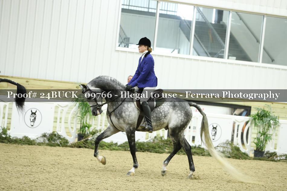 Proof 24BUCK_09766