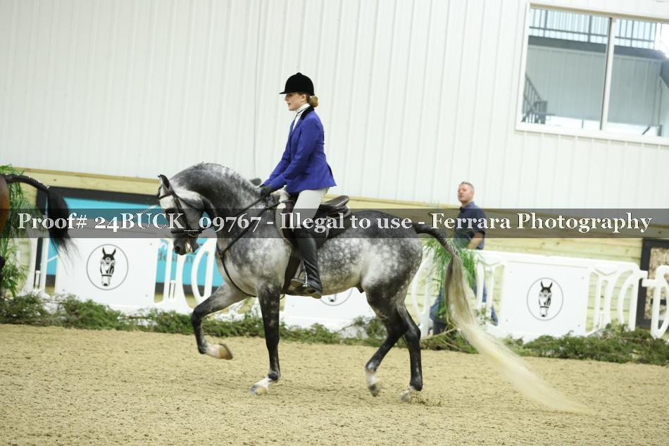 Proof 24BUCK_09767