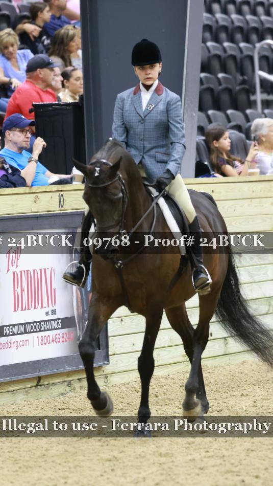 Proof 24BUCK_09768