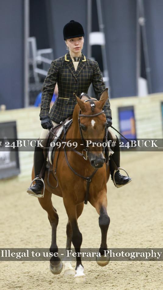 Proof 24BUCK_09769