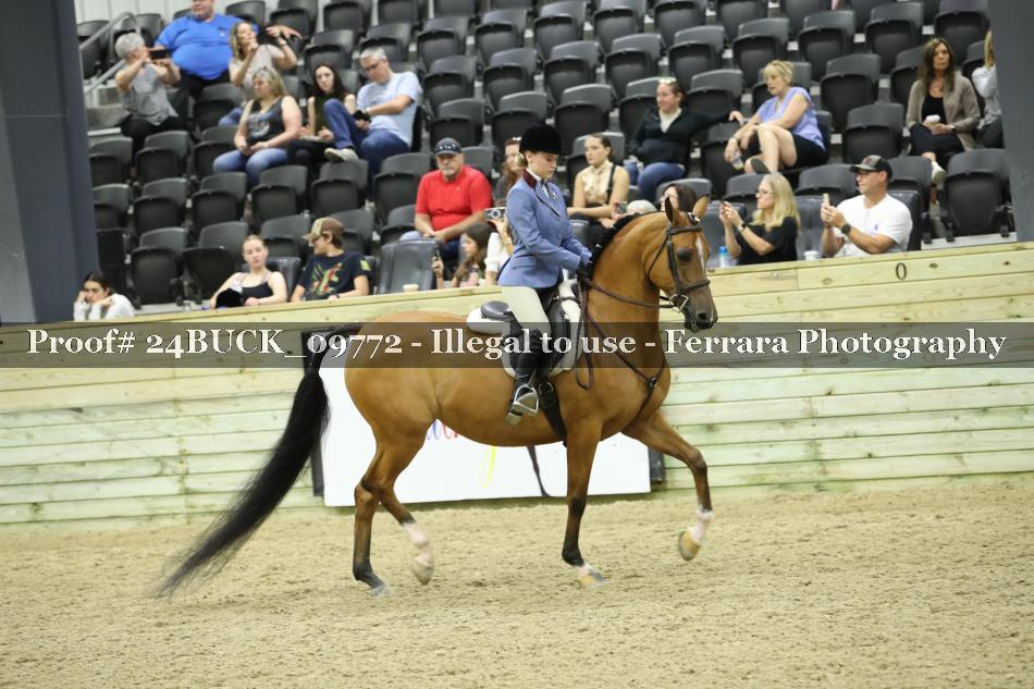 Proof 24BUCK_09772