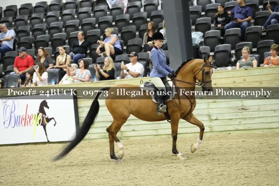 Proof 24BUCK_09773