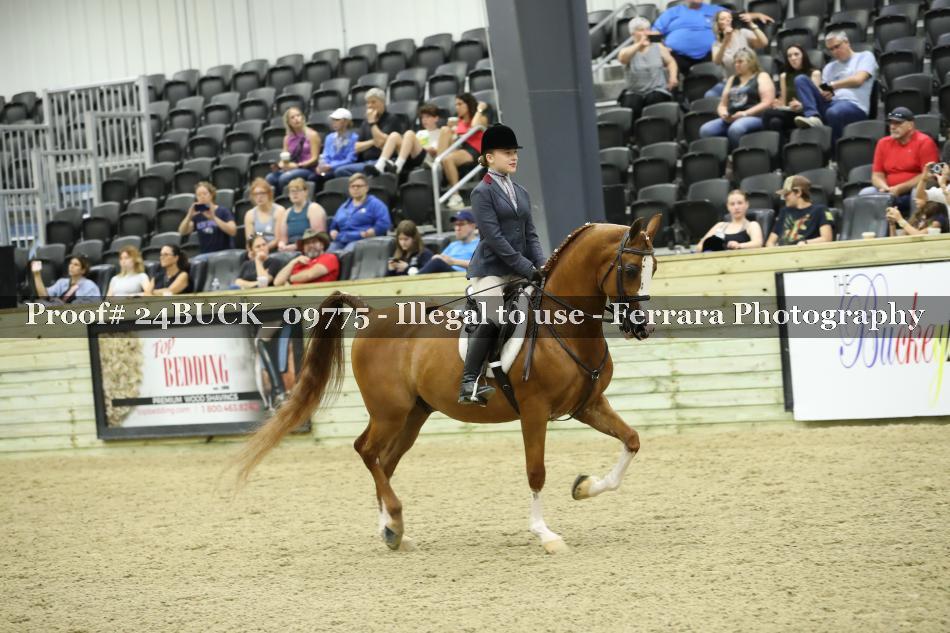 Proof 24BUCK_09775