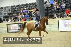 24BUCK_09775 proof