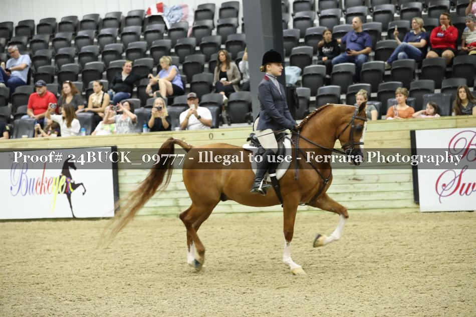 Proof 24BUCK_09777