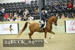 24BUCK_09777 proof