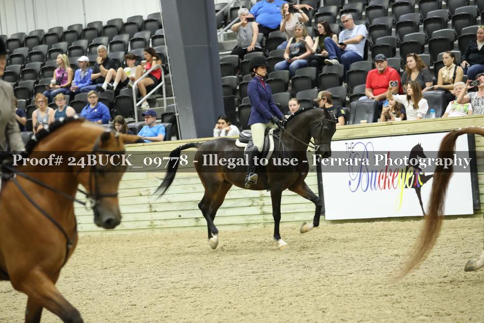 Proof 24BUCK_09778