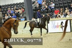 24BUCK_09778 proof