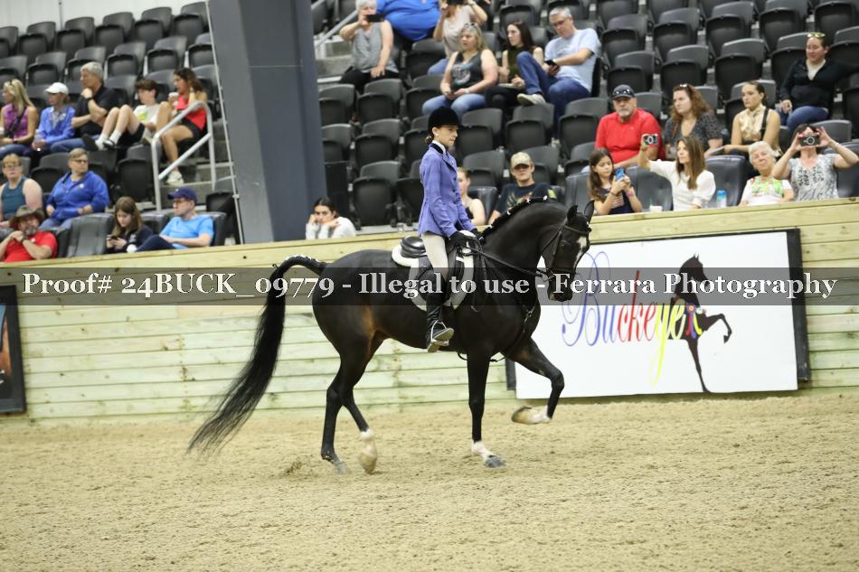 Proof 24BUCK_09779