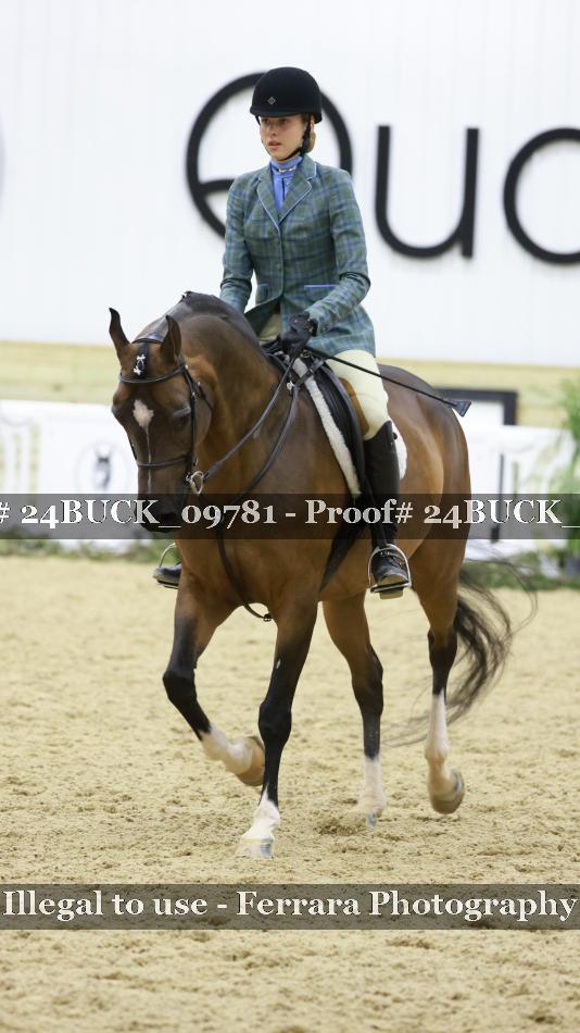 Proof 24BUCK_09781