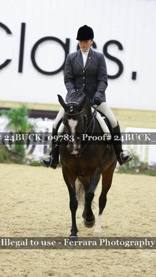 Proof 24BUCK_09783