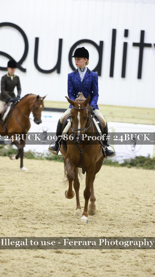 Proof 24BUCK_09786