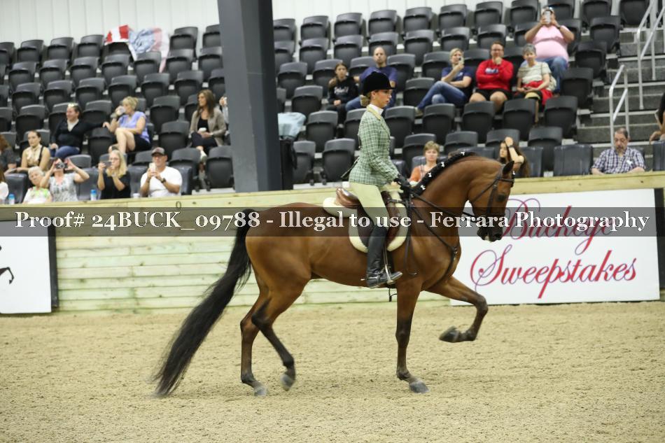 Proof 24BUCK_09788