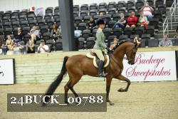 24BUCK_09788 proof