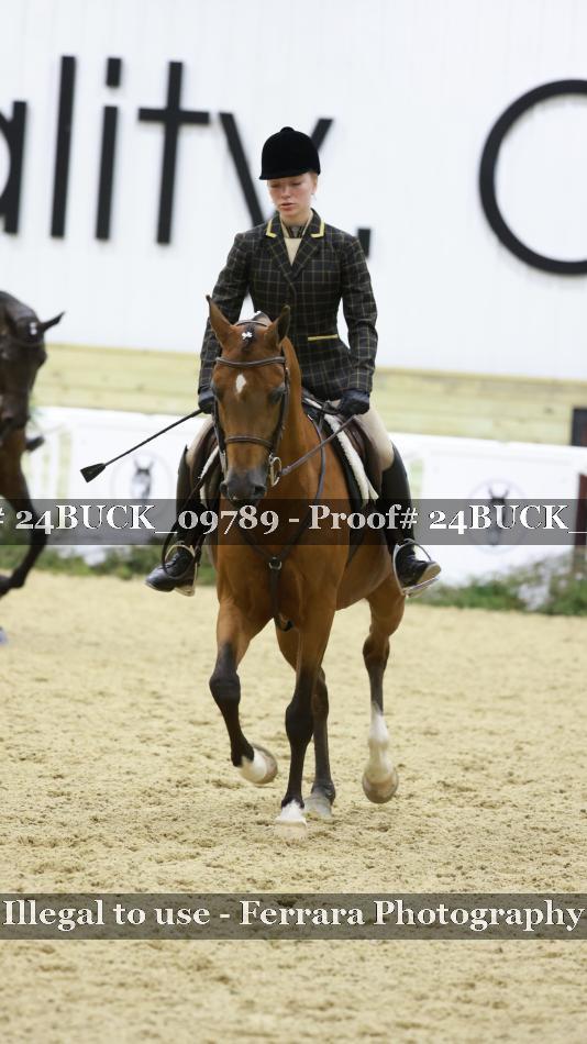 Proof 24BUCK_09789