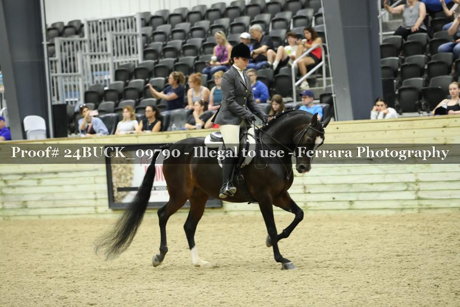 Proof 24BUCK_09790