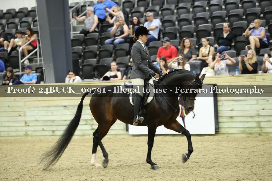 Proof 24BUCK_09791