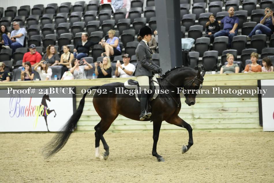 Proof 24BUCK_09792