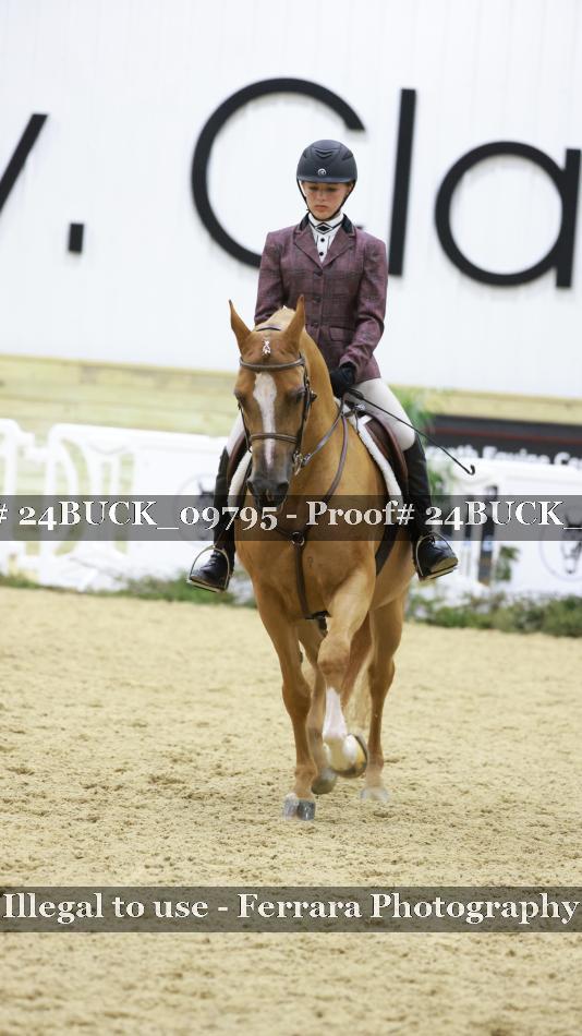 Proof 24BUCK_09795