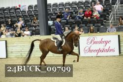 24BUCK_09799 proof