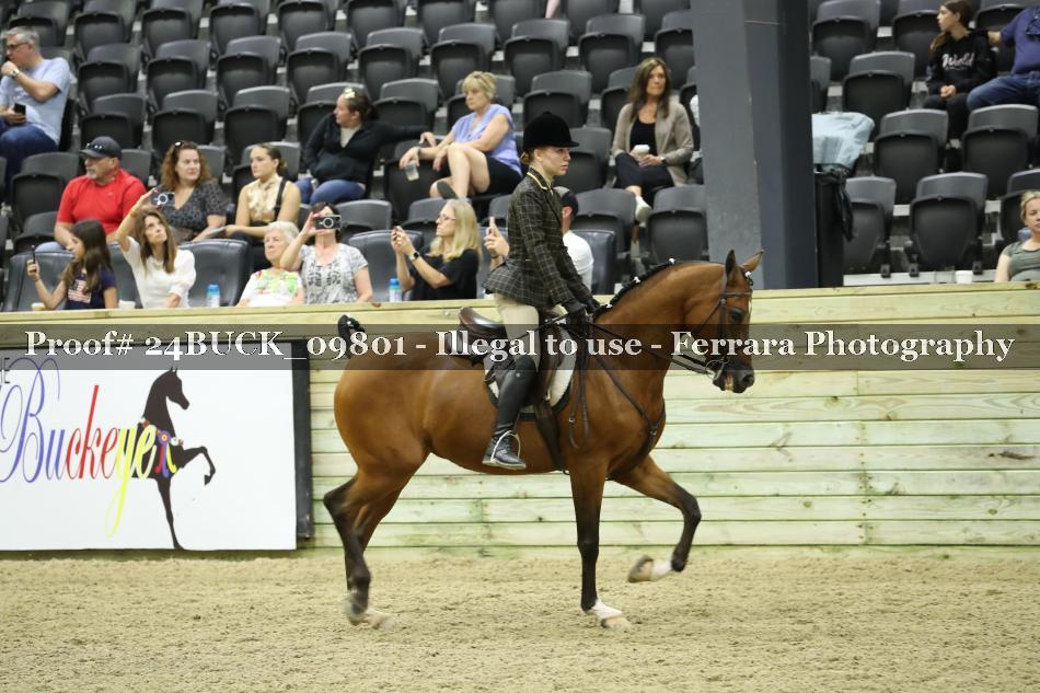 Proof 24BUCK_09801