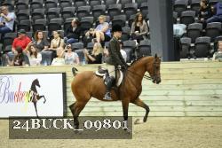 24BUCK_09801 proof