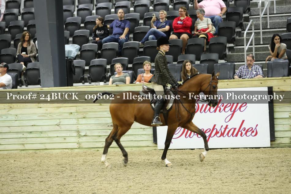 Proof 24BUCK_09802