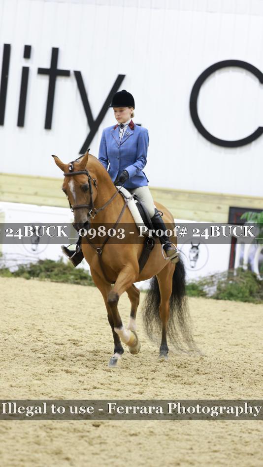 Proof 24BUCK_09803