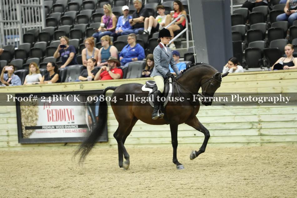 Proof 24BUCK_09804