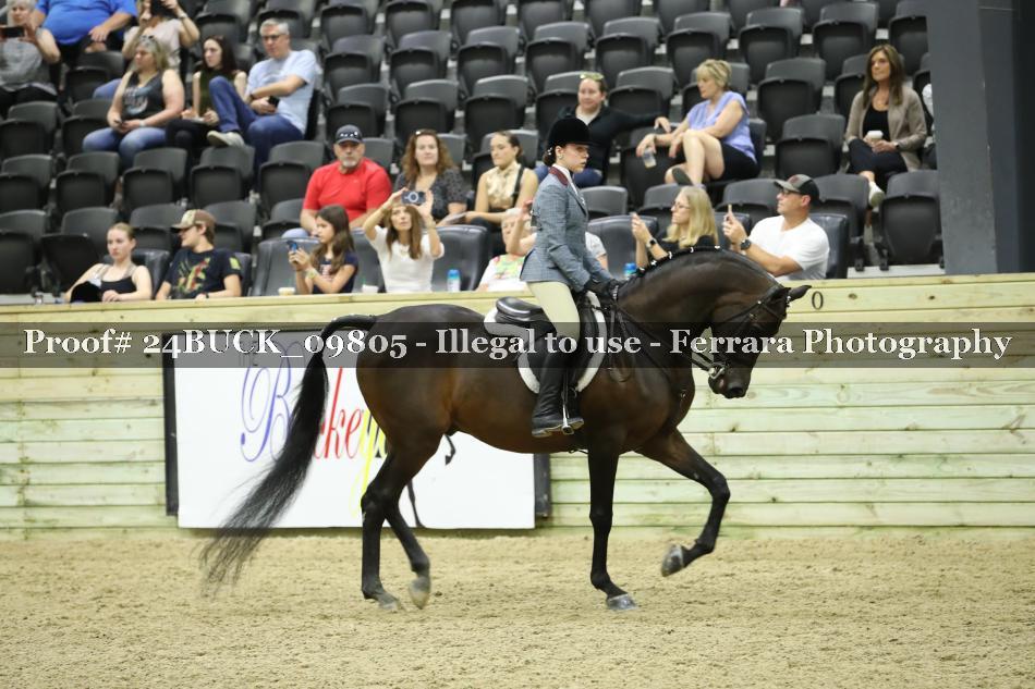 Proof 24BUCK_09805