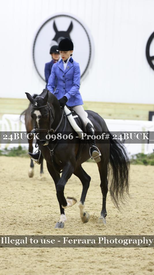 Proof 24BUCK_09806