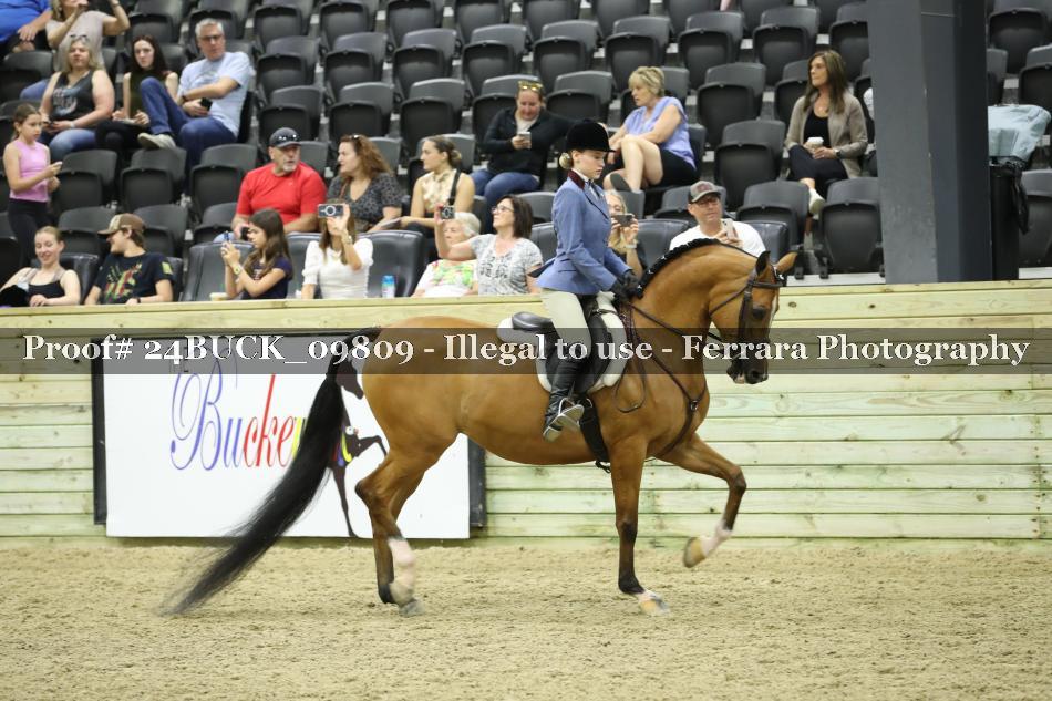 Proof 24BUCK_09809